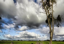 PG中国官网-欧冠资格赛火热进行中，球队备战状态全开