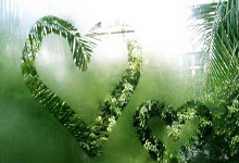 PG电子官网入口-绿茵烽火燃九州！中国足球主场狂欢全纪实