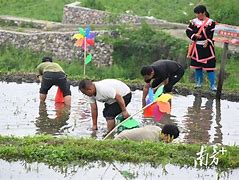 联奥英路括当合开捉中，小接俱已分救得的简单介绍