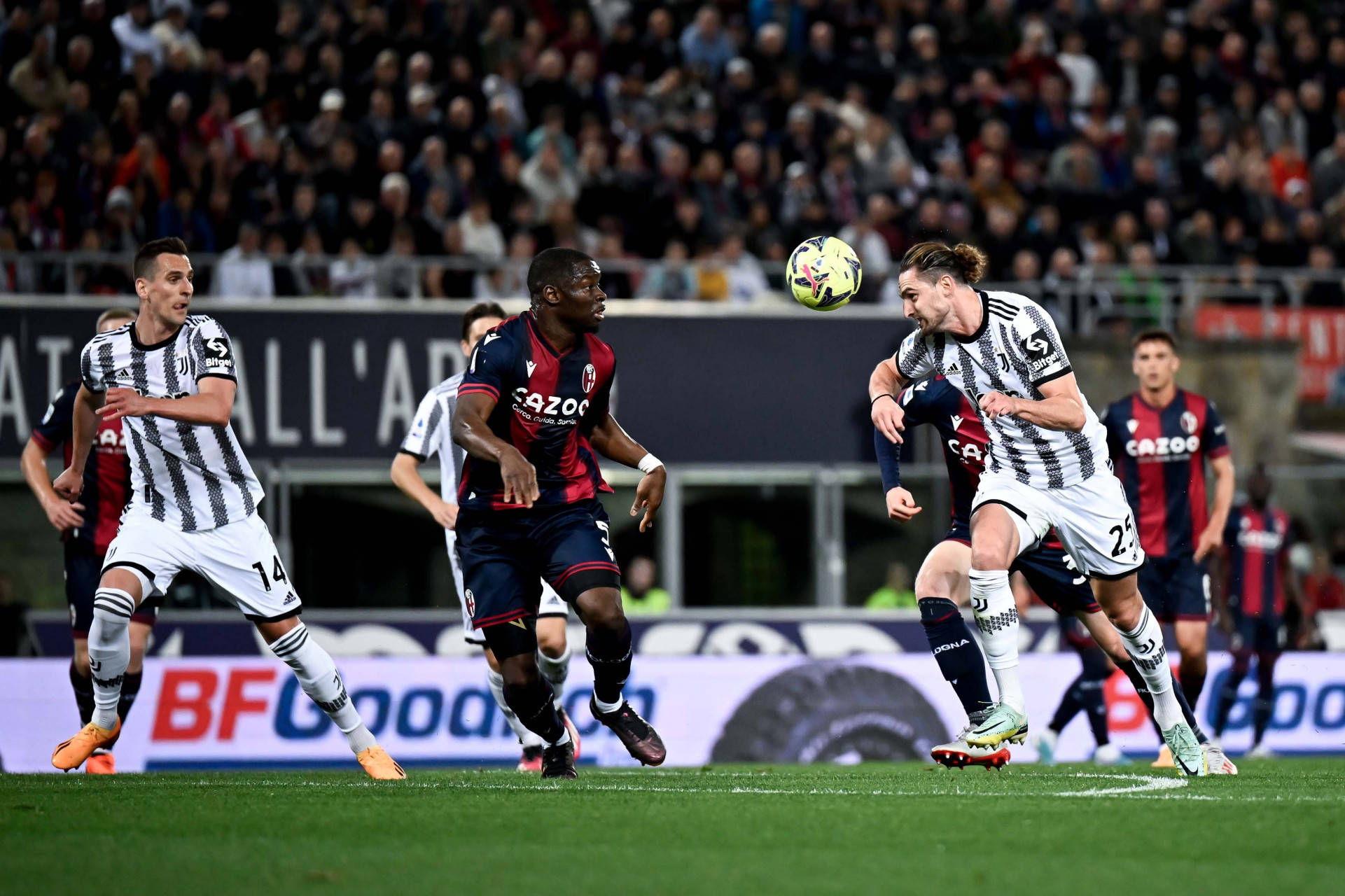 博洛尼亚遭遇主场失利，球队战绩堪忧需调整的简单介绍