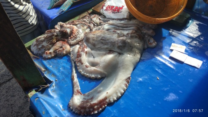 斯里兰卡将迎战菲律宾，胜者谁？